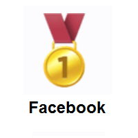 1st Place Medal on Facebook