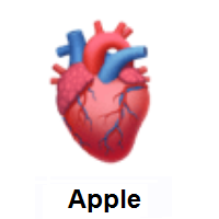 Anatomical Heart on Apple iOS