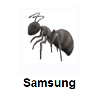 Ant on Samsung