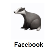 Badger on Facebook