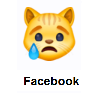 Crying Cat Face on Facebook