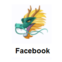 Dragon Face on Facebook
