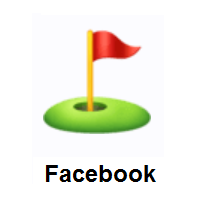 Flag in Hole on Facebook
