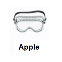 Goggles on Apple iOS