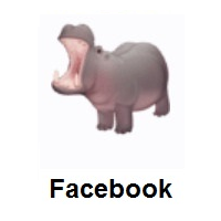 Hippopotamus on Facebook
