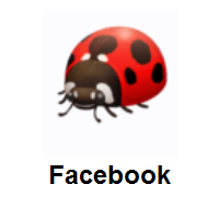 Coccinellidae: Ladybug on Facebook