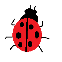 Coccinellidae: Ladybug