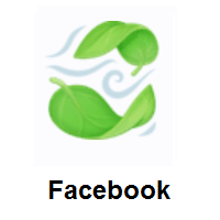 Leaf Fluttering In Wind on Facebook