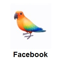 Parrot on Facebook