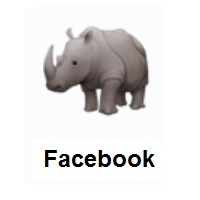 Rhinoceros on Facebook