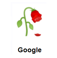 Wilted Flower on Google Android