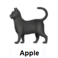 Black Cat on Apple iOS