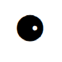 Black Circle With White Dot Right