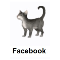Cat on Facebook