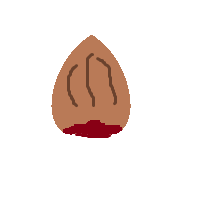 Chestnut
