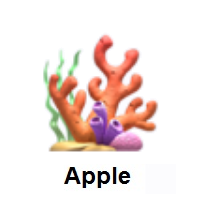 Coral on Apple iOS