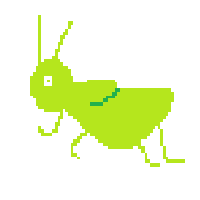 Cricket
