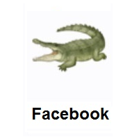 Crocodile on Facebook