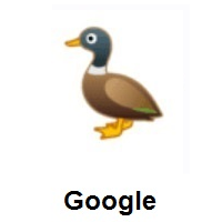 Duck on Google Android