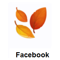 Fallen Leaf on Facebook