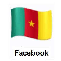 Flag of Cameroon on Facebook