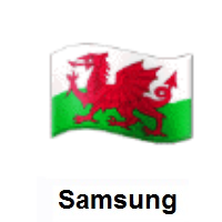 Flag of Wales on Samsung