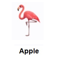 Flamingo on Apple iOS