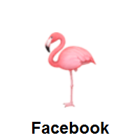 Flamingo on Facebook