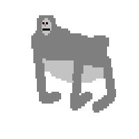 Gorilla