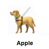 Guide Dog on Apple iOS
