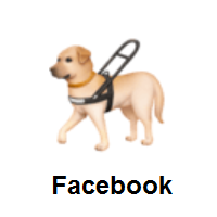 Guide Dog on Facebook