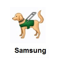 Guide Dog on Samsung