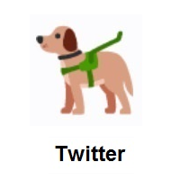 Guide Dog on Twitter Twemoji