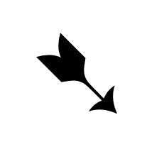 Heavy Black-Feathered South East Arrow