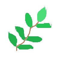 Herb
