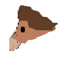 Horse Face