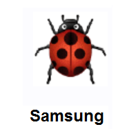 Coccinellidae: Ladybug on Samsung