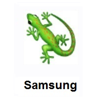 Lizard on Samsung