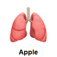 Lungs on Apple iOS