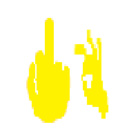 Middle Finger and OK Hand