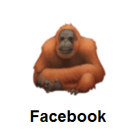 Orangutan on Facebook