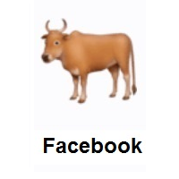 Ox on Facebook