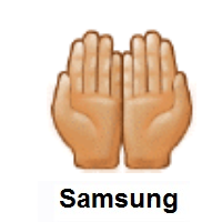 Palms Up Together: Medium-Light Skin Tone on Samsung