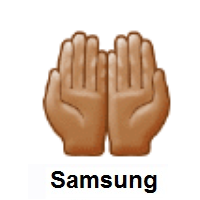 Palms Up Together: Medium Skin Tone on Samsung