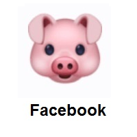 Pig Face on Facebook