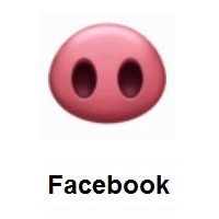 Pig Nose on Facebook