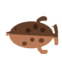 Pufferfish