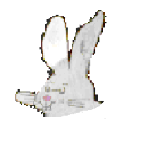 Rabbit Face