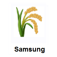 Rice on Samsung