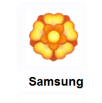 Rosette on Samsung